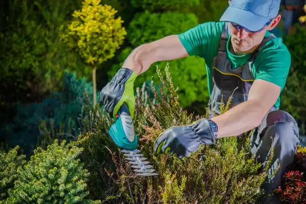 landscaping services Harris Hill